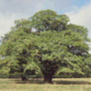 Meet your Posher, Alejandro